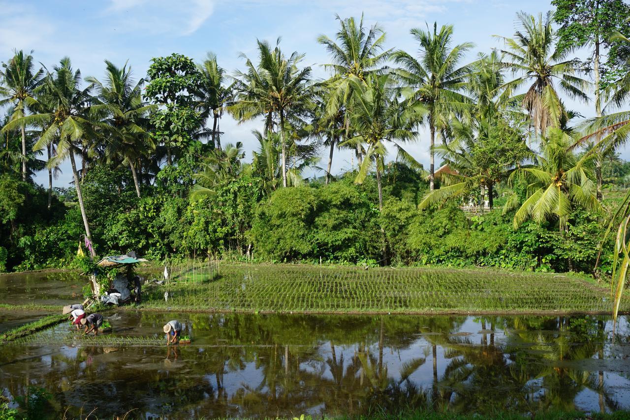 Puri Kobot Hotel Ubud  Ngoại thất bức ảnh